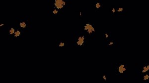 Download Falling Leaves Overlay - Seamless Loop Stock Footage for free