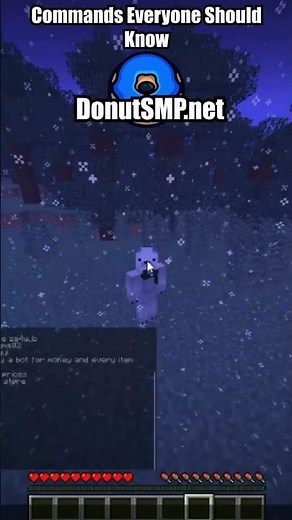 Donut SMP Commands You Will Use Every day #drdonut #donutsmp #cpvp #minecraft #minecraftcommand