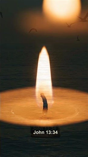 Love One Another As I Have Loved You | John 13:34 #Shorts