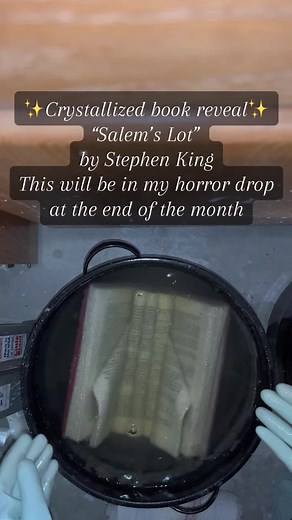 Unique Crystallized Books for Decorative Purposes