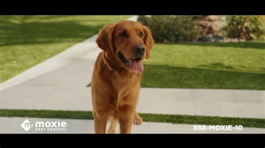 Moxie Pest Control TV Spot, 'Fetch'