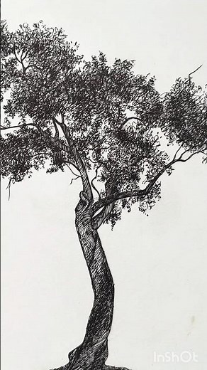 Tree drawing tutorial with pen #tree drawing and shading #tree pen shading #pen and ink art #shorts