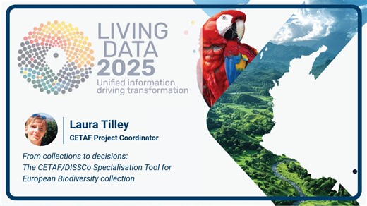 🎥 #LivingData2025: CETAF and DiSSCo contribution Last week, the #LivingData2025 conference brought together biodiversity experts, researchers, and data specialists from around the world to advance open, interoperable, and FAIR biodiversity data. 🗣️ Laura Tilley, Project Coordinator at CETAF, took part in the event presenting the CETAF/DiSSCo Specialisation Tool, which supports the standardisation and integration of European biodiversity collection data. Her presentation highlighted how this to