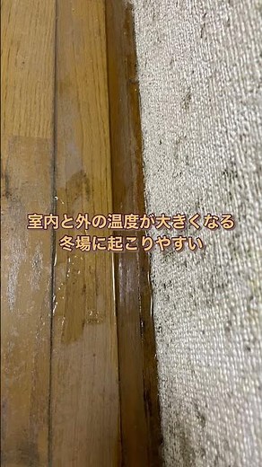 クロスにカビが🙀原因は湿気！ #マンション #リフォーム #不動産 #壁紙 #クロス #カビ対策 #湿気対策 #賃貸 #冬