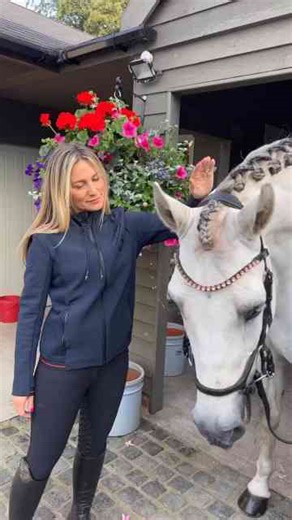 Fabulous Plait Appreciation: Braids That Wow!