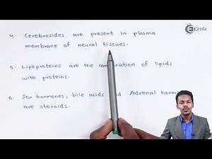 Function of Lipids - Biomolecules - Chemistry Class 12
