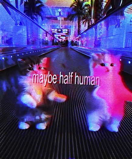 Creative Lyric Edit Ideas for Social Media