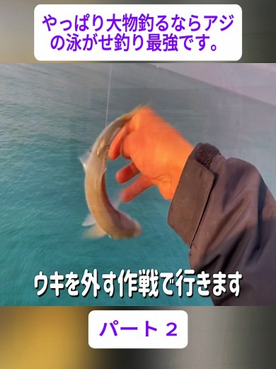 アジの泳がせ釣りで大物を釣る方法