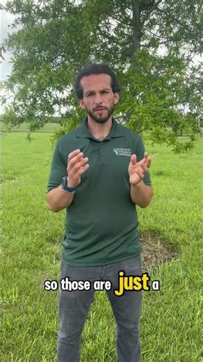 How We Protect Your Home During a Landscaping Project | Northern Virginia Landscaping