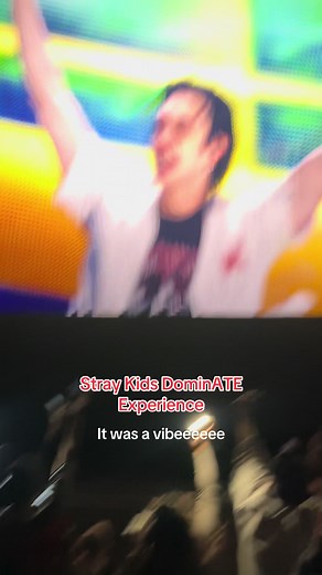 Stray Kids DominATE Experience: An Exciting Preview