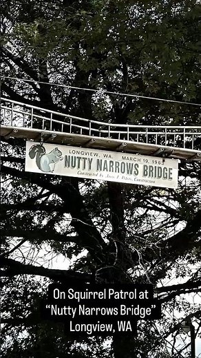 Nutty Narrows Bridge – Longview, Washington 🐿️ Quirky Squirrel Bridge with Ash & Simba