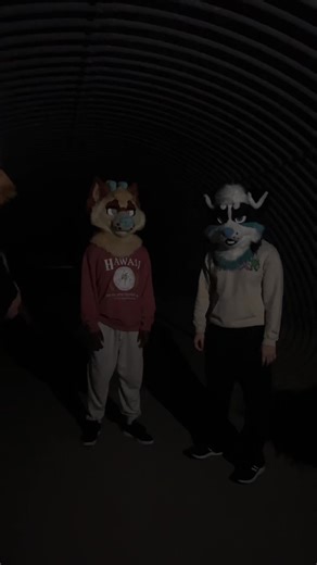 Fursuit Friday meet at 3 AM