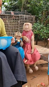 YaYa Clapping while Laughing At Her | YaYa Note