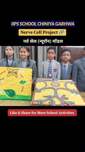 Nerve Cell Model 🧠 | Class 8 Science Project | Neuron Working Model