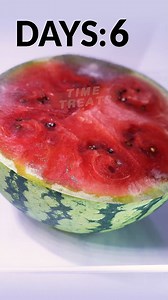 44K views · 461 reactions | Just Cut Off the Moldy Part and it'll be Fine  #watermelon #timelapse #food | Time Treats | Facebook