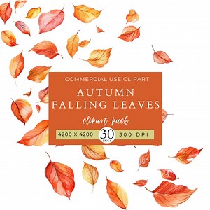 Autumn Falling Leaves Clip Art Pack, Halloween Clipart, Commercial Use, PNG Graphics, Journal, Prints, Crafts, Invitations, Scrapbook - Etsy