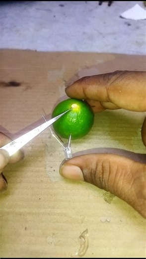 🍋 Amazing Lemon LED Experiment #Shorts