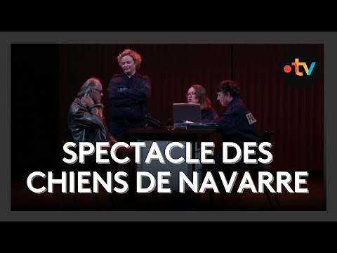 Spectacle des Chiens de Navarre "I will survive", entre émotion et rires