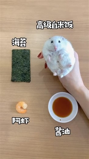 Mouse🐭 ASMR | It‘s time for dinner, high-end sushi🍣 Follow @mouse_mm_cook #mouse #mousecook #cook #ratatouille #ratatouille🐭 | Instagram