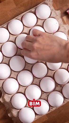 Bili Bili Yumurta | BİM