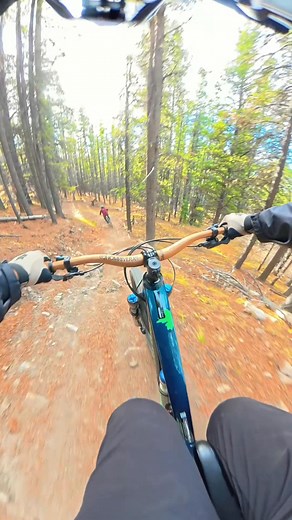 Riding through the trails, feeling the rush of wind and freedom — mountain biking isn’t just a sport, it’s pure therapy. Every climb, every descent, every turn reminds me why I love the ride. 🚵‍♂️🌲 #MountainBiking #TrailLife #RideMoreWorryLess #MTBAdventure #BikeLife #NatureRide #AdrenalineRush #OutdoorVibes #MTBlove | Jhom Rivera