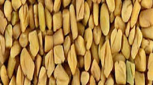 Immunity Booster Food : इन चीजों को खाएं, अपनी रोग प्रतिरोधक क्षमता बढ़ाएं