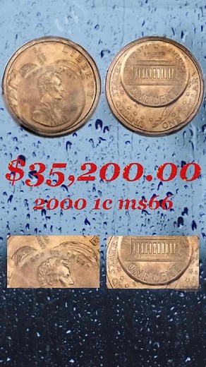 6 comments | Does your coin have a striking error？_#coin #penny #dollar #coincollecting #rarecoins #treasurehunt. | Molisosral | Facebook