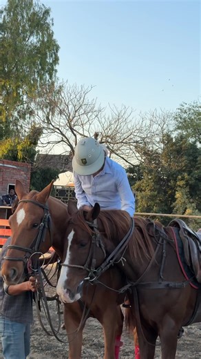 The Joy of Horse Change in Tent Pegging