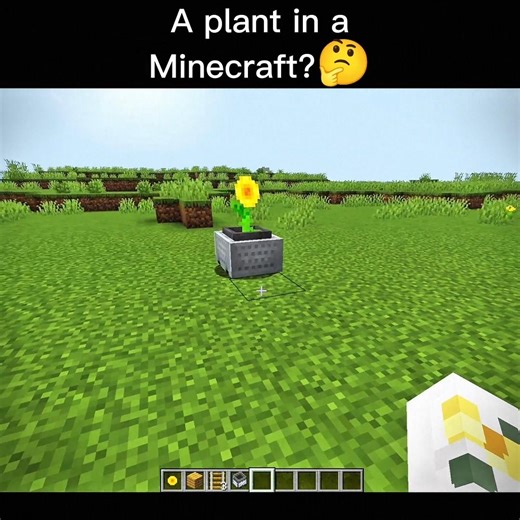 Illegal Minecraft Building Techniques 🤫#MinecraftSecret #MinecraftDesign
