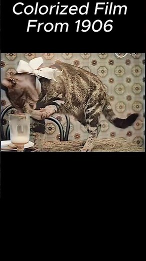 Life In 1906 France Was Actually Pretty Fascinating. Vintage Film