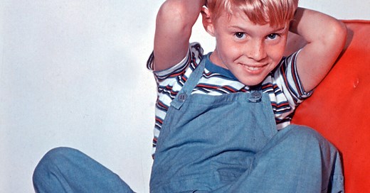 Jay North, Child Star of ‘Dennis the Menace,’ Dies at 73