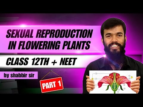 Sexual Reproduction In Flowering Plants Class 12 | Board +NEET | NCERT Line By Line