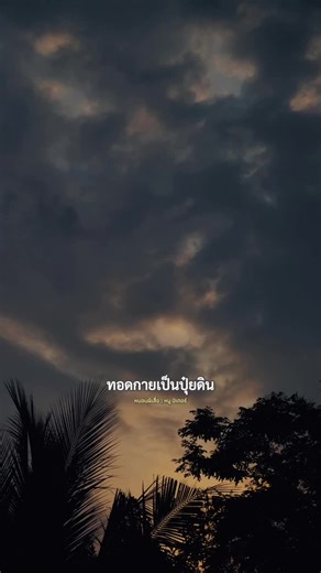 #เพลงเพราะ #เพลงลงสตอรี่ #สตอรี่ความรู้สึก🤍🎼 #noon_1987🎵