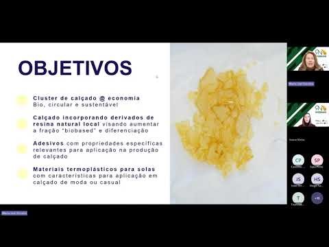 A Resina Natural como Material Inovador no Calçado Desafios e Oportunidades