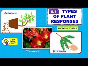 Form 5 Biology KSSM (5.1) TYPES OF PLANT RESPONSES