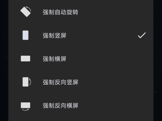 可以强制改变屏幕转向的软件