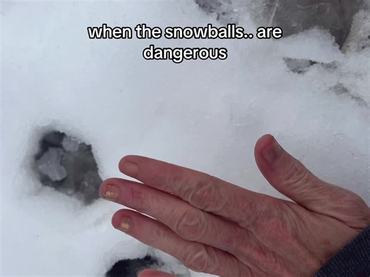 The giggling is a sign of the cabin fever taking over. 😆😆 #snow #icestorm #winterweather #snowball #january