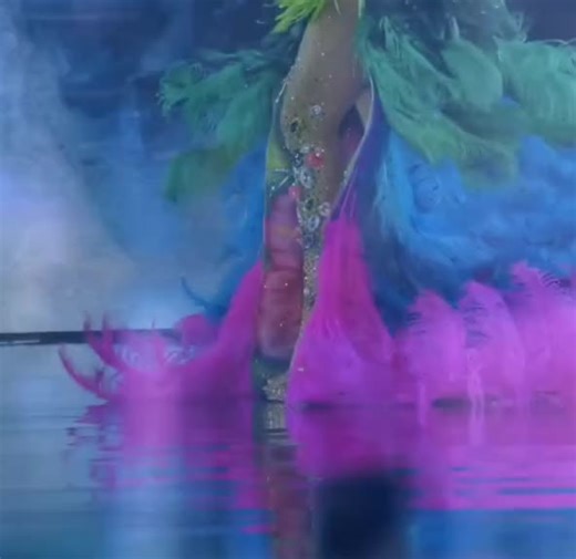 Traje Típico de Colombia: El Colibrí en la Moda