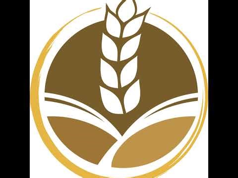 Main Service (11/23/25)