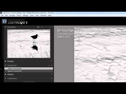 How to Create and Manage Snapshots - Lightroom 3 Video Tutorial