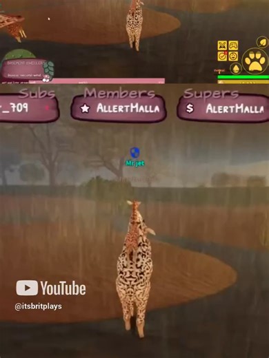 borth #gaming #games #roblox #savannahlife #femalestreamer #femalegamer