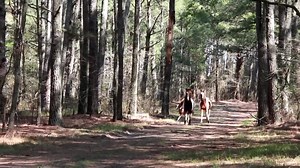 Puzzle's Band...Be sure to turn up the volume so you can hear the birds chirping! If you need to reduce your blood pressure, this should do the trick! | DSC Photography