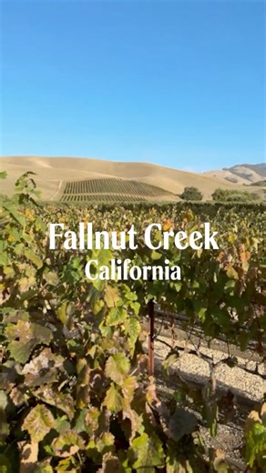 Visit Walnut Creek | Find your California cozy in Walnut Creek this fall! ☕️🍂 It's the perfect season to stroll Walnut Creek's walkable downtown with a hot... | Instagram