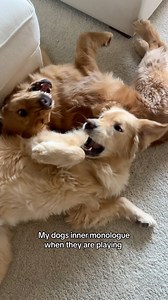 RAWR | Benny & Remy