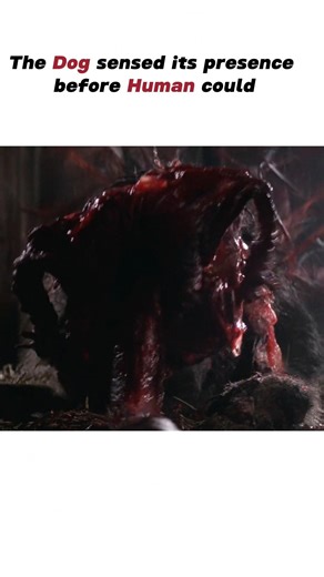 Dog mutated into an alien |Like & Sub| #thething thething#darkcinema #culthorror #viralmovieclip