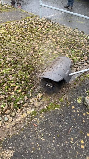 How satisfying is this to watch?! If you were wondering how effective the new Bristle Brush attachment for the EGO Power multi-tool can be, have a look at this! | EGO Power Plus