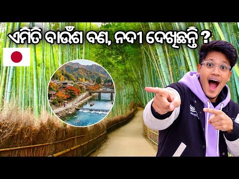 ଜାପାନ୍‌ର ପ୍ରସିଦ୍ଧ ବାଉଁଶ ଜଙ୍ଗଲ 😲 | Kyoto Bamboo Forest & Kamo River 🇯🇵