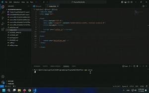 021使用Ruffle播放swf文件