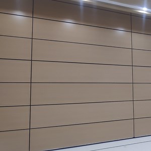 [Hot Item] Automatic Retractable Vertical Adjustable Wall Partition System