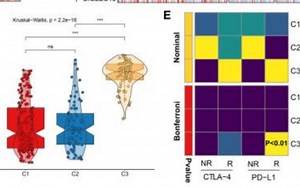 38. SubMap加更版（优化输出分组信息